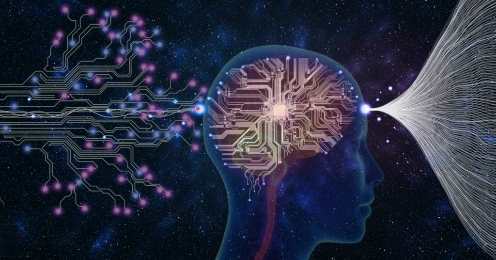 brain