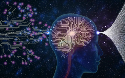 brain
