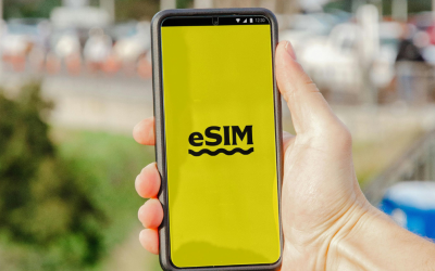 eSim