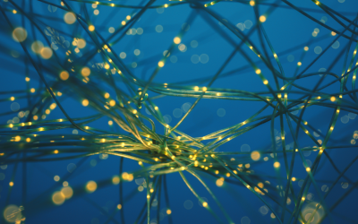 neural network