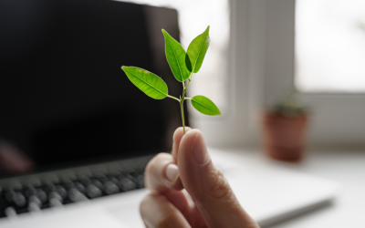 Sustainability in Hardware